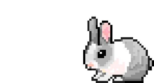 JavaBunny | Leap Into Java!